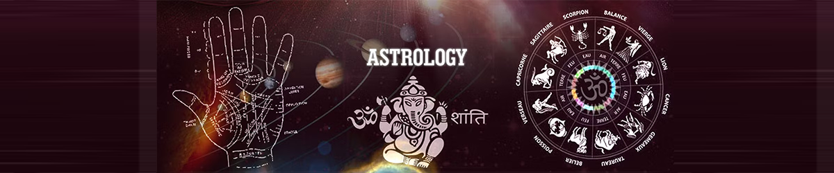 Looking for MLM Software in Pali banner